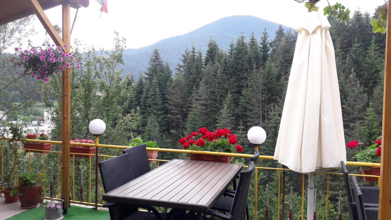 Guest House Stoletnika ياغودينا المظهر الخارجي الصورة