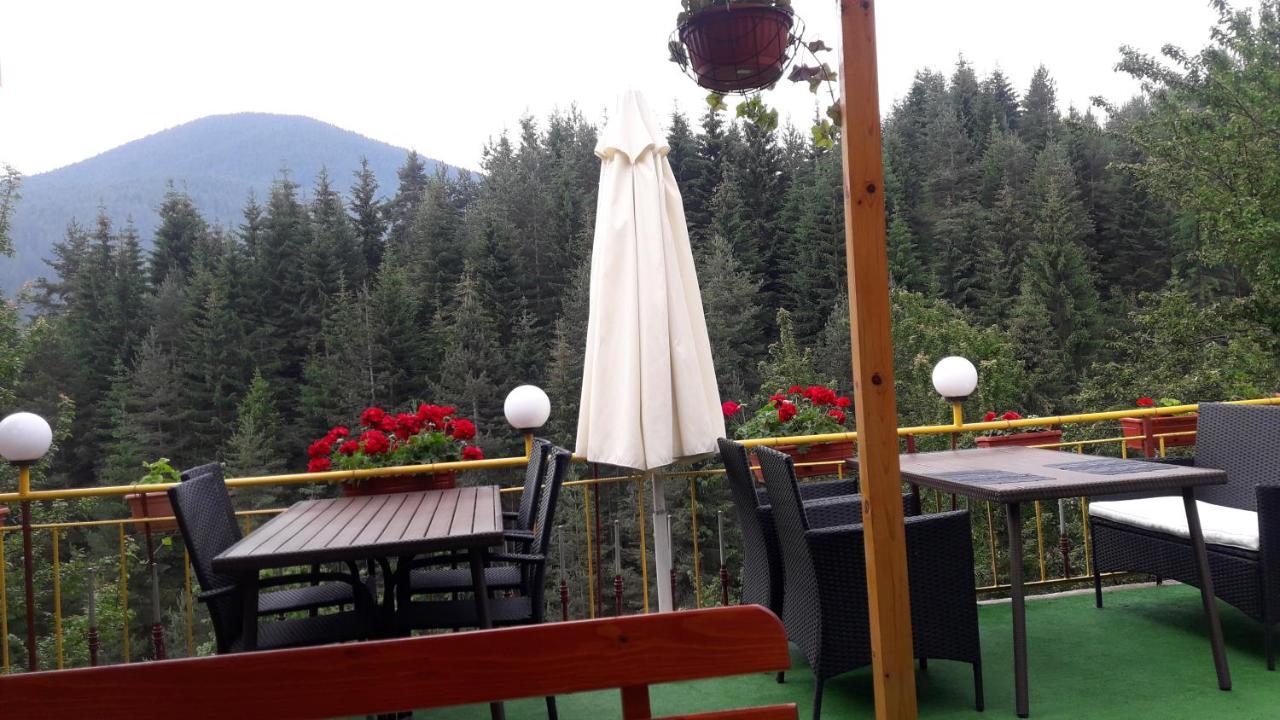 Guest House Stoletnika ياغودينا المظهر الخارجي الصورة