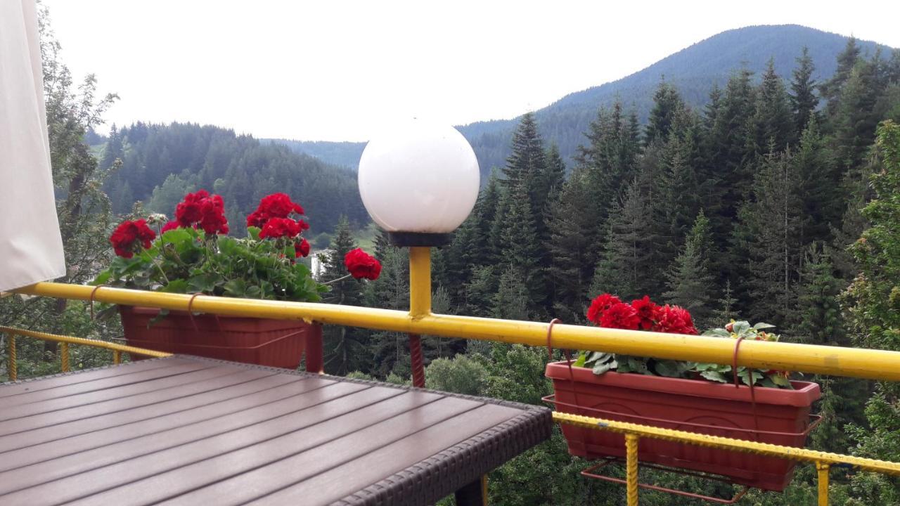 Guest House Stoletnika ياغودينا المظهر الخارجي الصورة