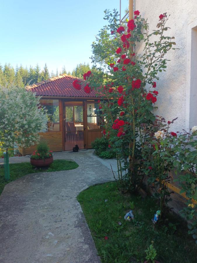 Guest House Stoletnika ياغودينا المظهر الخارجي الصورة