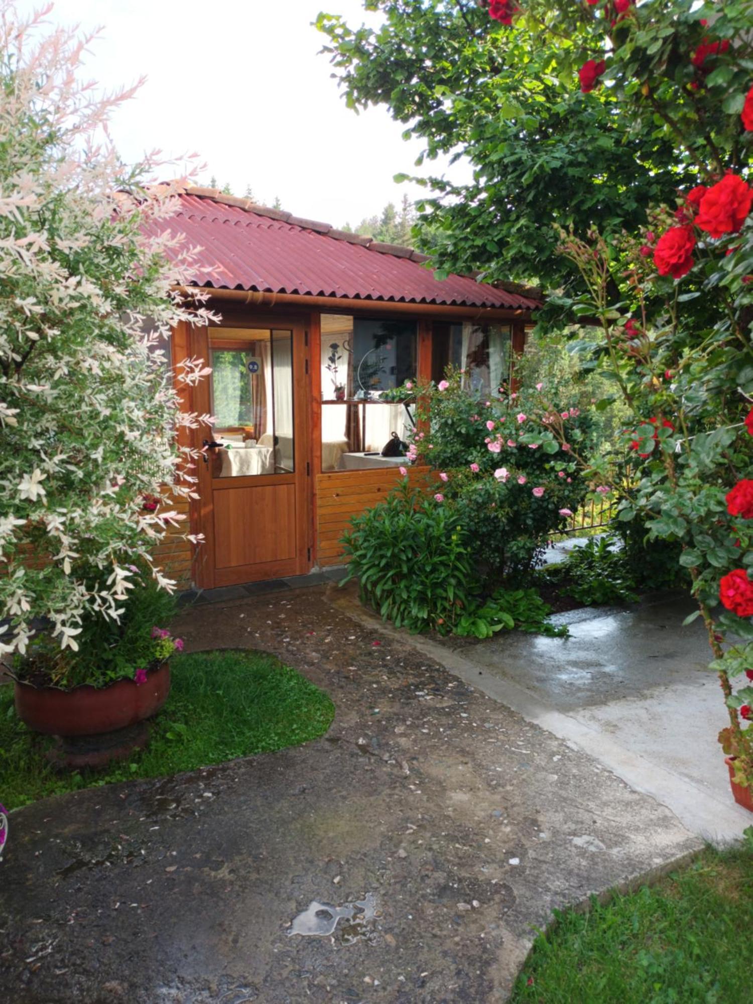 Guest House Stoletnika ياغودينا المظهر الخارجي الصورة