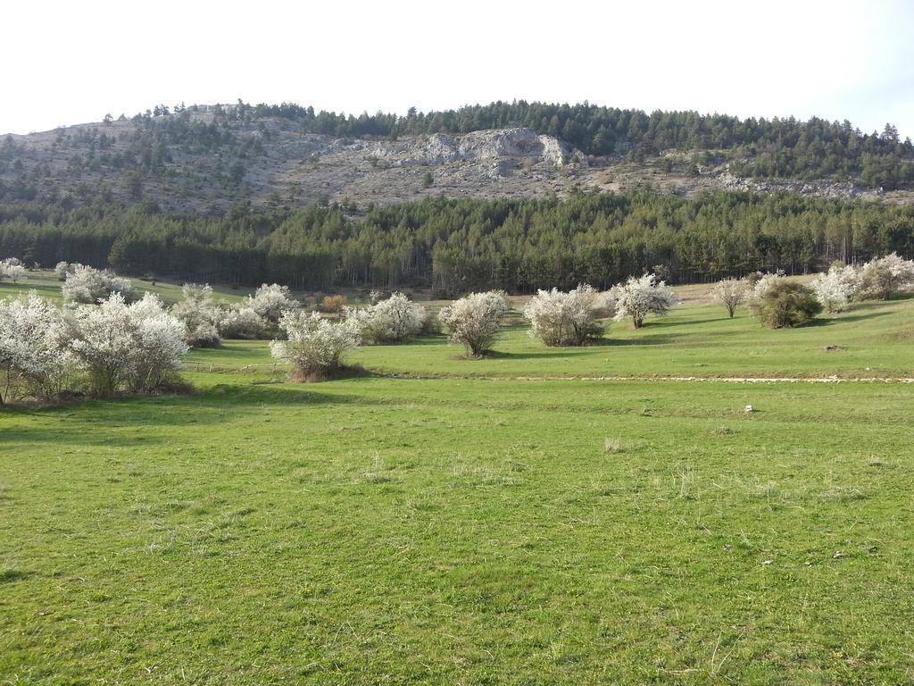 Guest House Stoletnika ياغودينا المظهر الخارجي الصورة