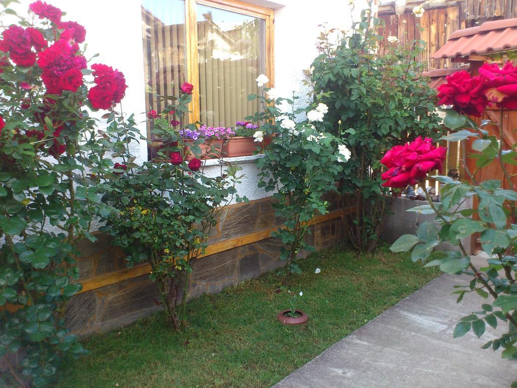 Guest House Stoletnika ياغودينا المظهر الخارجي الصورة