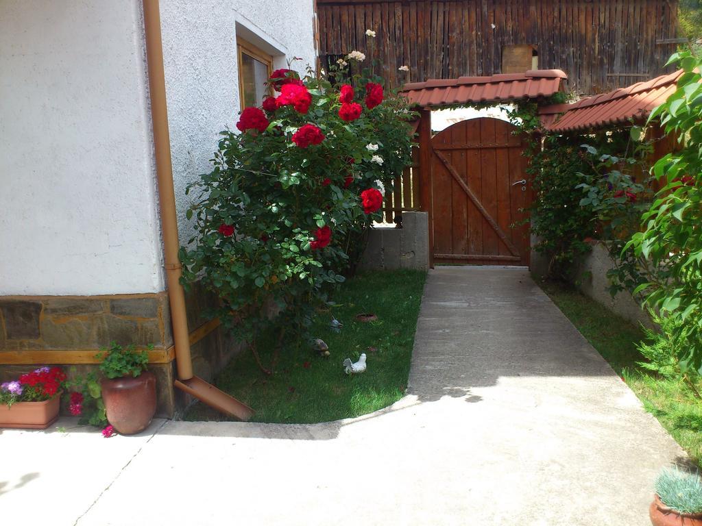 Guest House Stoletnika ياغودينا المظهر الخارجي الصورة
